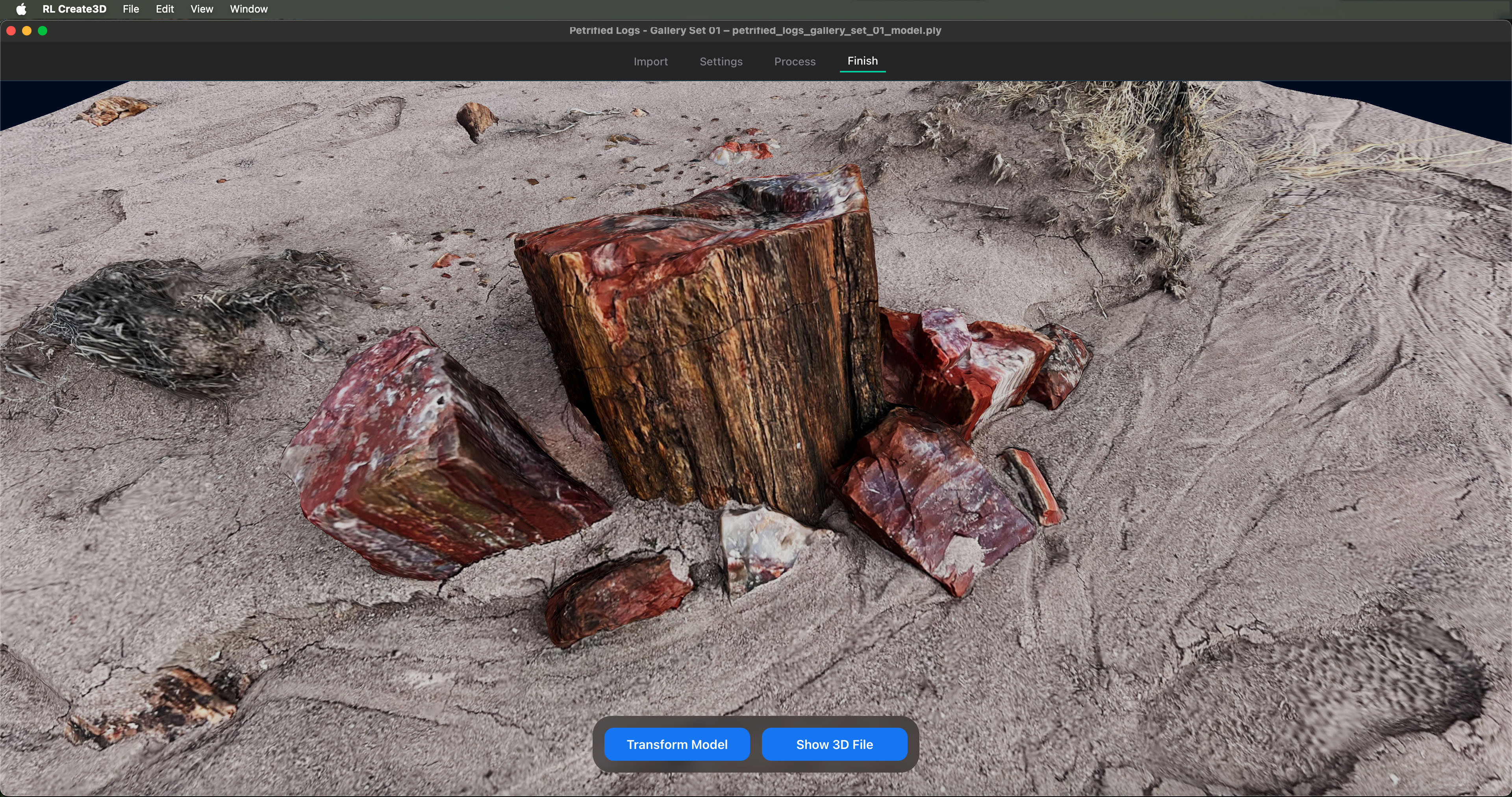 Create3D Finish screen showing the completed petrified wood model