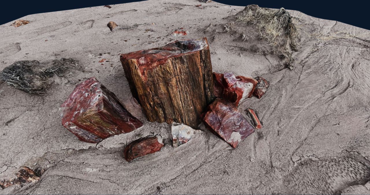 Preview of the finished petrified wood model