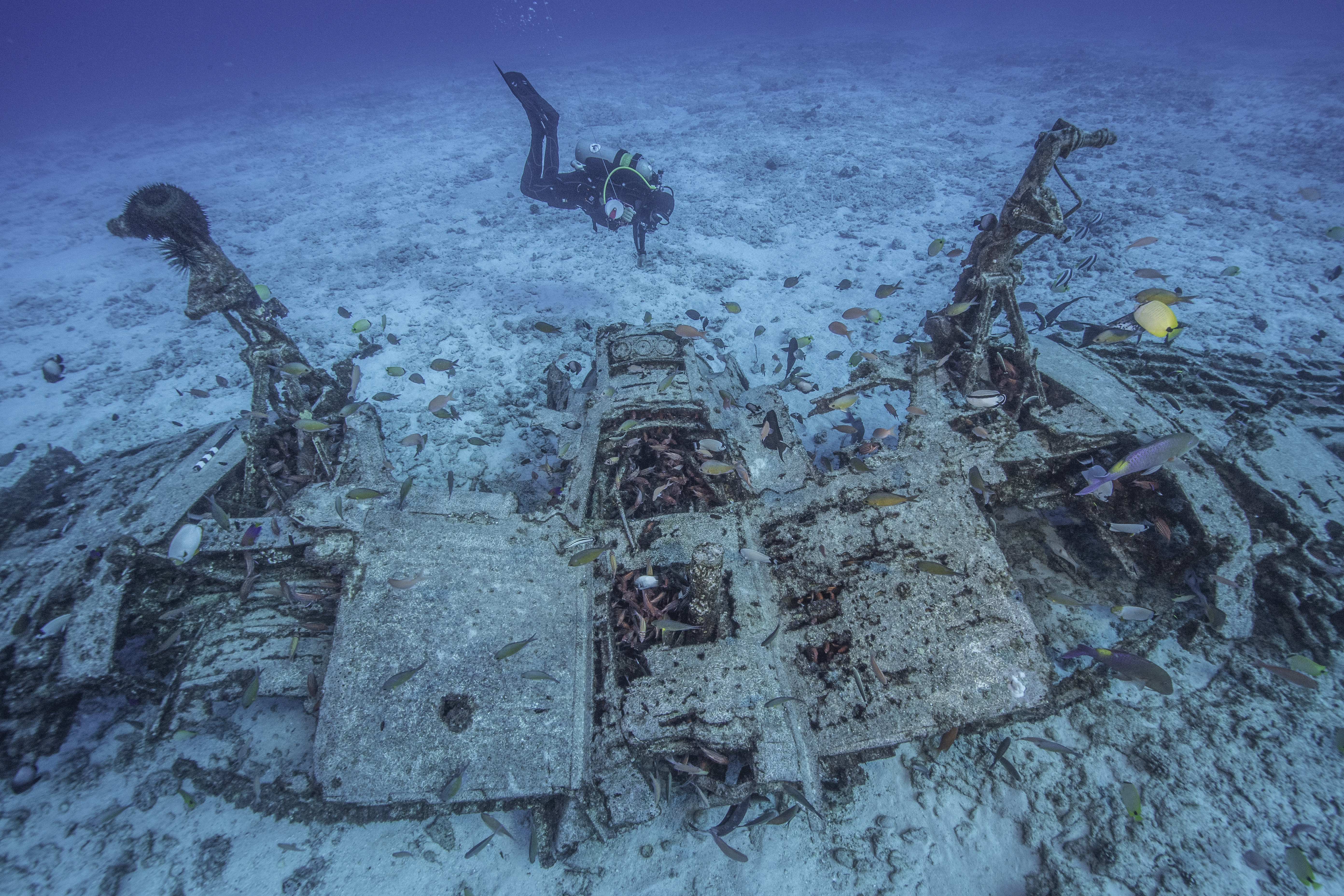 Underwater source photograph showing a diver near the Corsair wreck